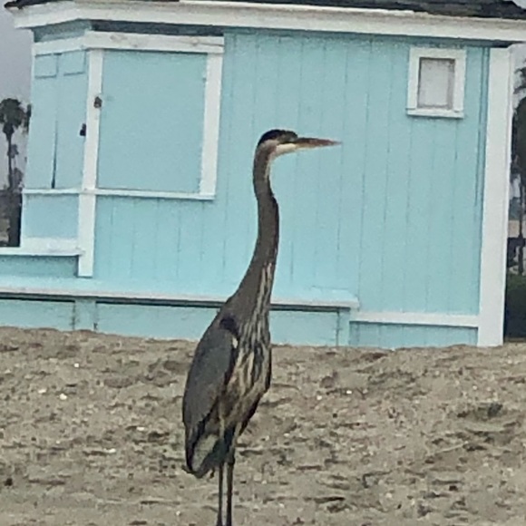 Meet your Posher, Jana - Picture 2 of 4